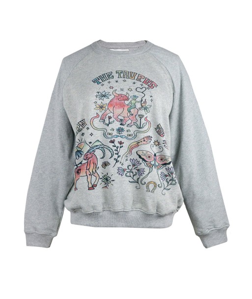 SWEATSHIRT ASTRO SIGNES TERRE En savoir plus