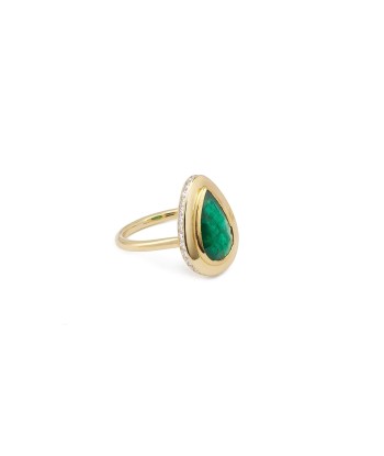 PEAR EMERALD DOG RING en ligne