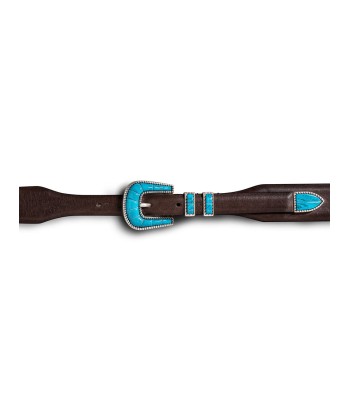 CRAZY TURQUOISE & BROWN BELT de l' environnement