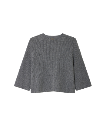 PULL FLARE GRIS acheter