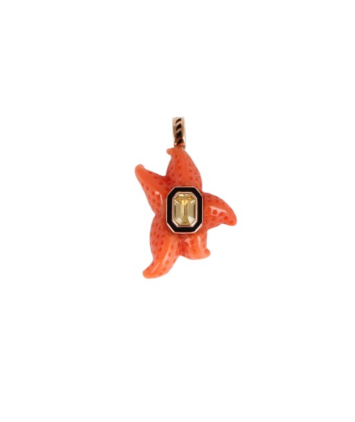 CORAL SEAS STAR PENDENT Pour