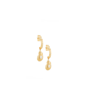 GOLD AND DIAMOND BEETLE EARRINGS Comparez plus de prix